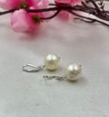 South Sea Pearl Earrings in 925 Sterling Silver