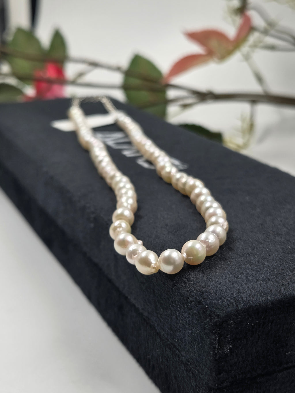 Freshwater Pearl Necklace with Sterling Silver Lock (with Certificate)