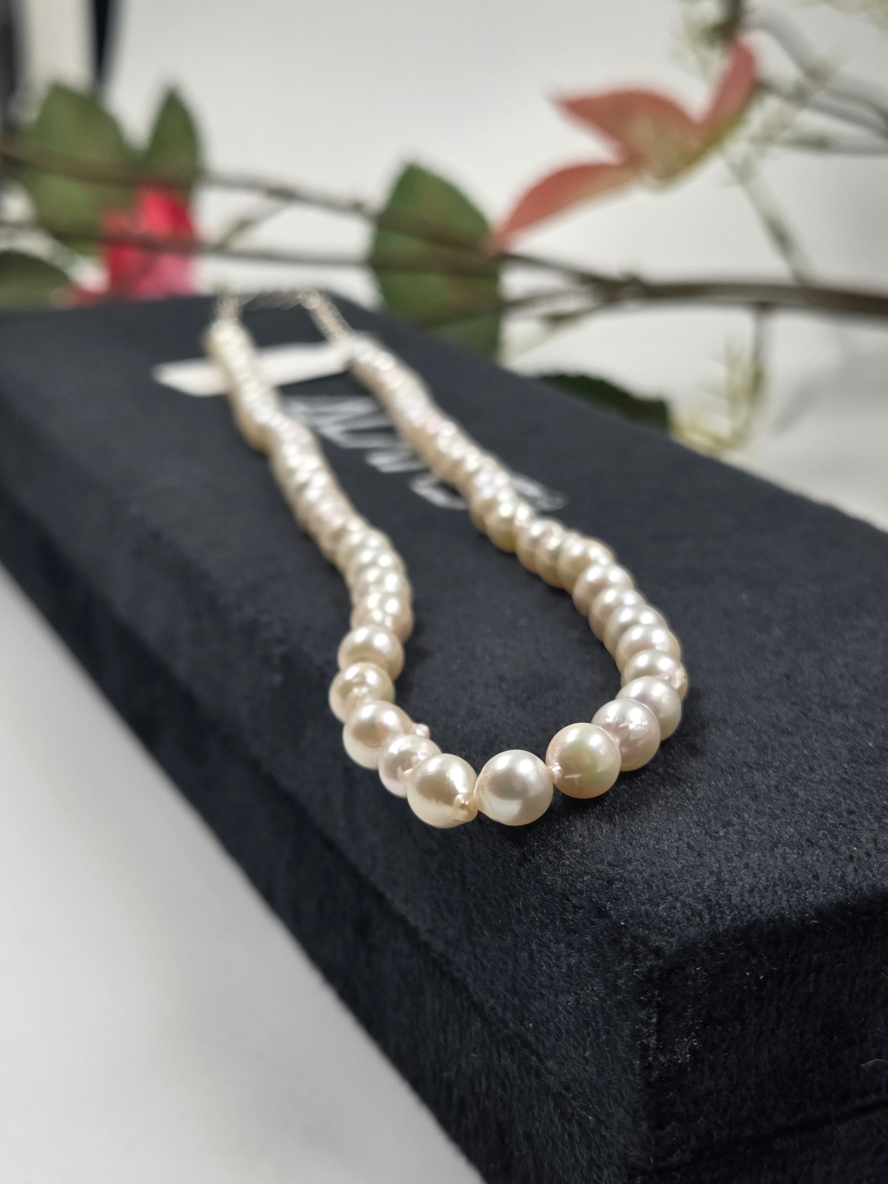 Freshwater Pearl Necklace with Sterling Silver Lock (with Certificate)