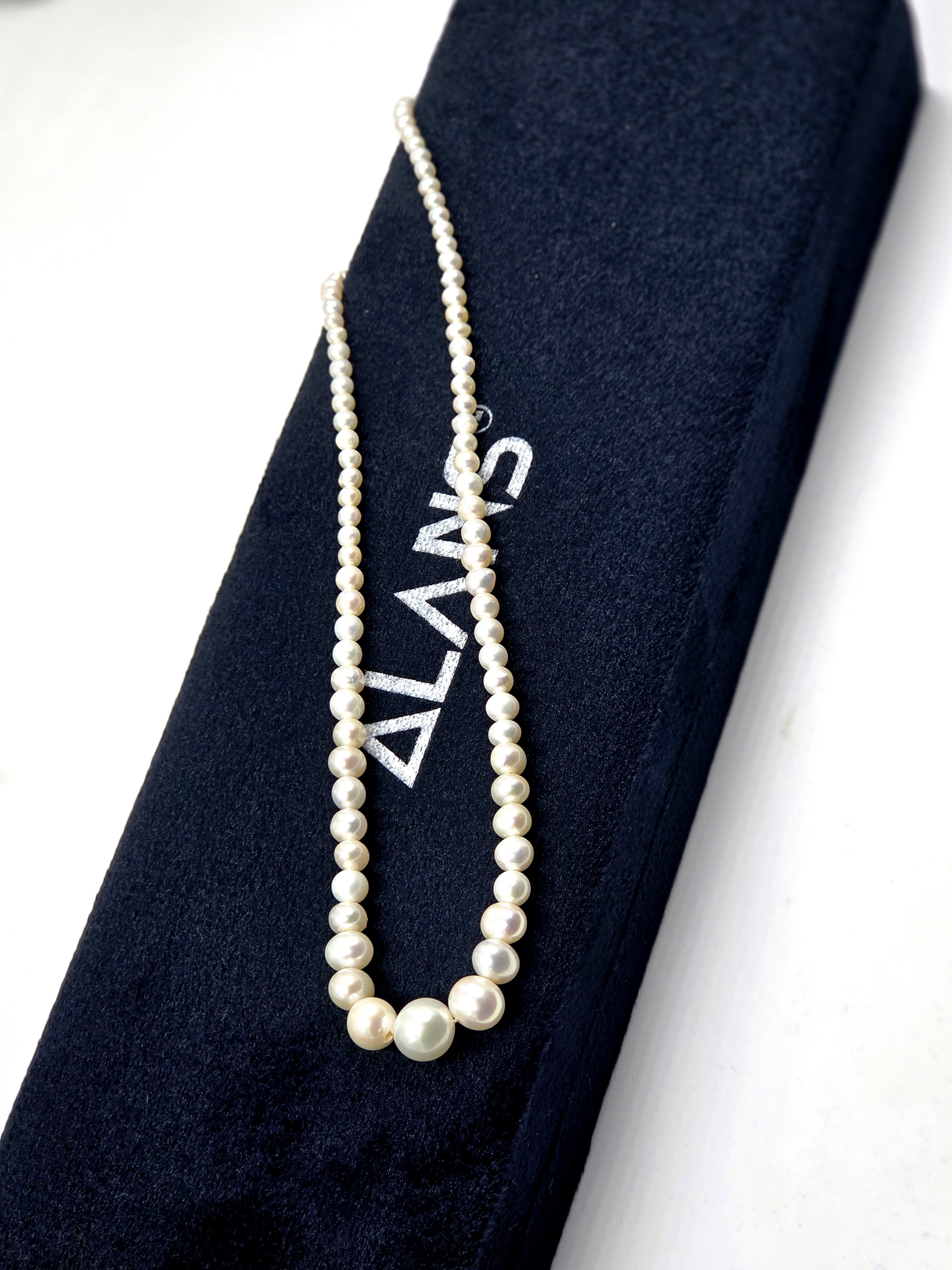 Freshwater Pearl Necklace with 925 Sterling Silver Lock