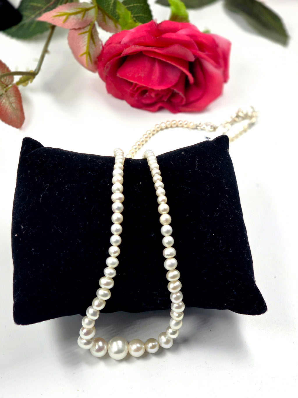 Freshwater Pearl Necklace with 925 Sterling Silver Lock