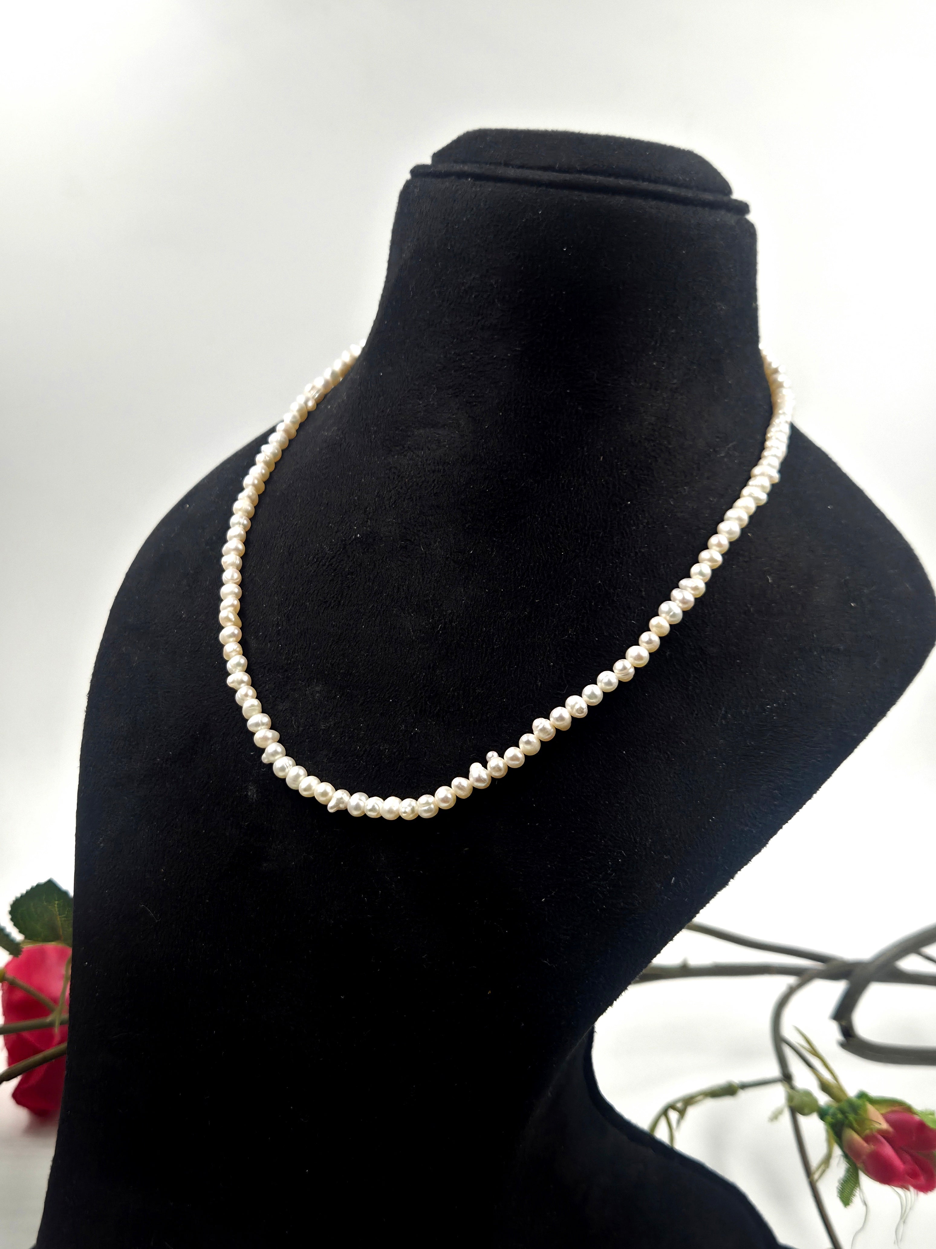 Freshwater Pearl Necklace with Silver Lock